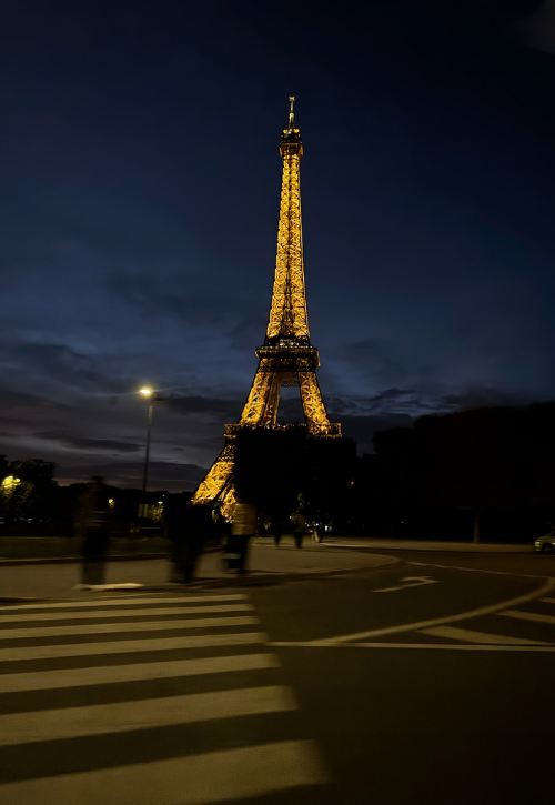 City of lights: Paris!