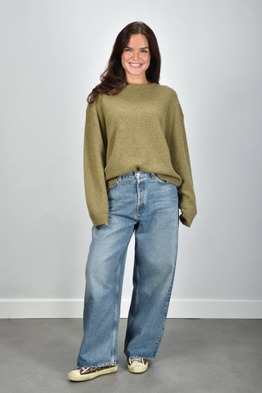 Agolde jeans Rounded Baggy A333-1885 downplay