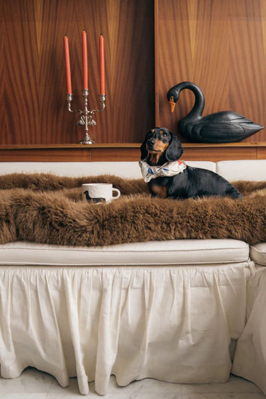 Anna + Nina Dachshund Tea Mug multicolor