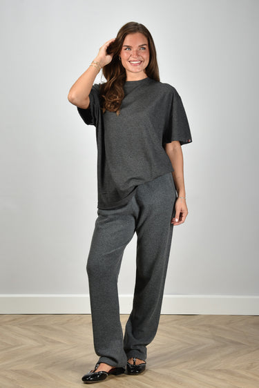 Extreme Cashmere t-shirt Rik 269 felt