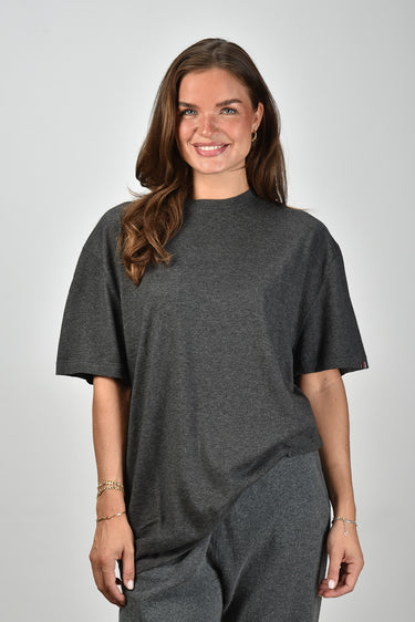 Extreme Cashmere t-shirt Rik 269 felt