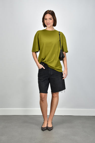 Extreme Cashmere t-shirt Rik 269 grass