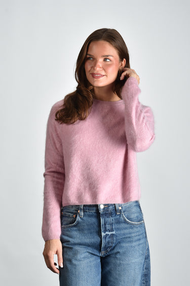 Lisa Yang trui Lexia 2025374 petal brushed