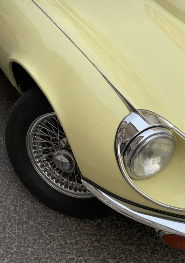 Ontdek onze Butter Yellow trend online