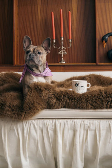 Anna + Nina French Bulldog Tea Mug multicolor